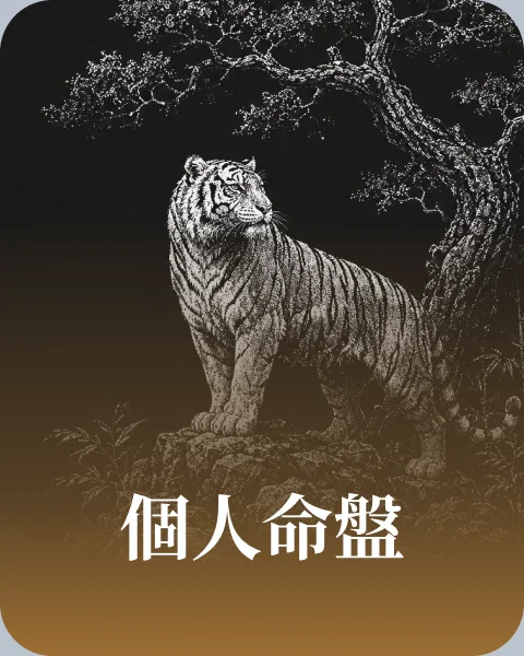 個人 命盤